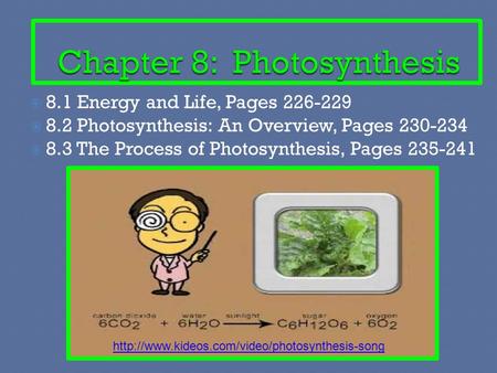  8.1 Energy and Life, Pages  8.2 Photosynthesis: An Overview, Pages  8.3 The Process of Photosynthesis, Pages