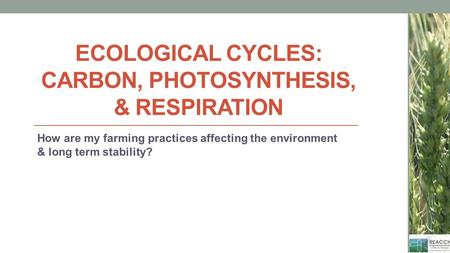 ECOLOGICAL CYCLES: CARBON, PHOTOSYNTHESIS, & RESPIRATION How are my farming practices affecting the environment & long term stability?