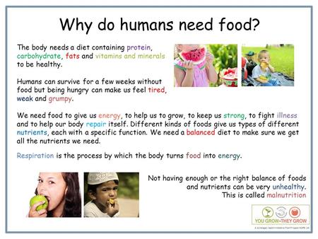 Why do humans need food? The body needs a diet containing protein, carbohydrate, fats and vitamins and minerals to be healthy. Humans can survive for a.