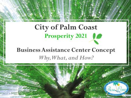 City of Palm Coast Prosperity 2021 Business Assistance Center Concept Why, What, and How?