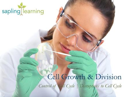 Cell Growth & Division Control of Cell Cycle | Disruptions to Cell Cycle.