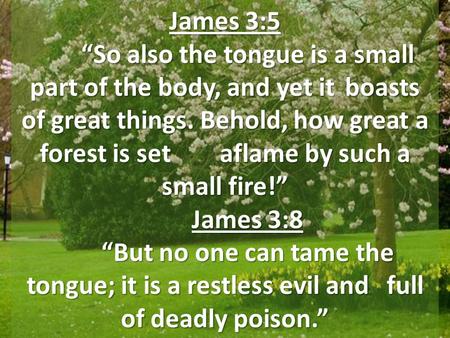 James 3:5 “So also the tongue is a small part of the body, and yet it boasts of great things. Behold, how great a forest is set aflame by such a small.