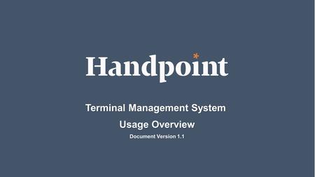 1 Terminal Management System Usage Overview Document Version 1.1.