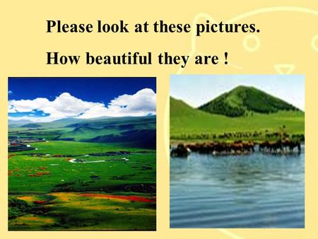 Please look at these pictures. How beautiful they are !