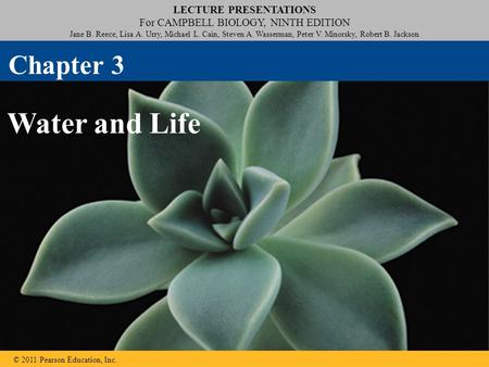 LECTURE PRESENTATIONS For CAMPBELL BIOLOGY, NINTH EDITION Jane B. Reece, Lisa A. Urry, Michael L. Cain, Steven A. Wasserman, Peter V. Minorsky, Robert.