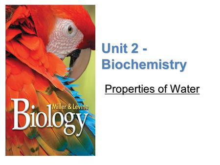 Lesson Overview Lesson Overview Properties of Water Unit 2 - Biochemistry Properties of Water.