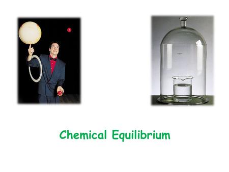 Chemical Equilibrium. Chapter 14 Chemical Equilibrium 14.1 the concept of equilibrium and the equilibrium constant 14.4 writing equilibrium constant expression.