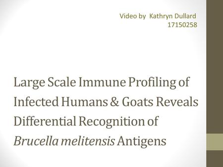 Large Scale Immune Profiling of Infected Humans & Goats Reveals Differential Recognition of Brucella melitensis Antigens Video by Kathryn Dullard