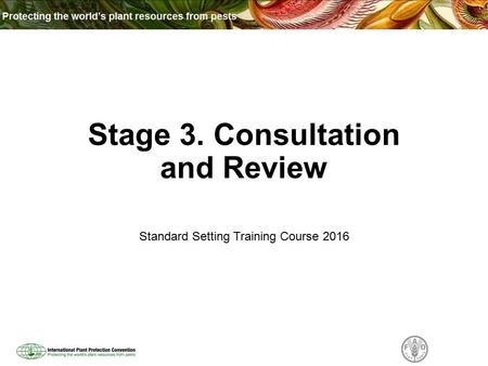 Stage 3. Consultation and Review Standard Setting Training Course 2016.