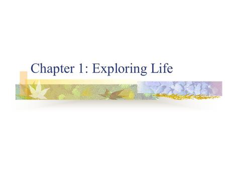 Chapter 1: Exploring Life. 1.1 Living Things What do you see that is living when you go outside during the summer?