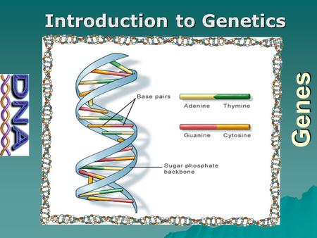 Genes Introduction to Genetics. What is DNA?  DNA stands for DeoxyriboNucleic Acid  It is the hereditary material in humans and almost all other organisms.