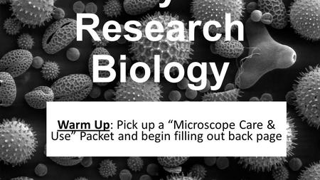 Day 6 Research Biology Warm Up: Pick up a “Microscope Care & Use” Packet and begin filling out back page.