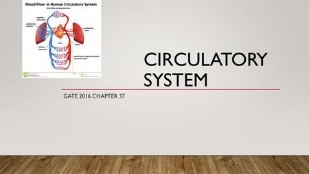 CIRCULATORY SYSTEM GATE 2016 CHAPTER 37. COMPONENTS OF THE CIRCULATORY SYSTEM Heart – The pump Blood – The fluid Blood Vessels – The tubes Arteries, capillaries.