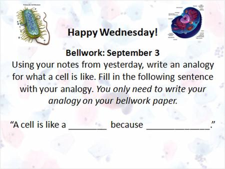 Bellwork: September 4 Look at the two cells below (A and B). Write at least 5 things you observe about these cells. (Example…tell me how they are similar.