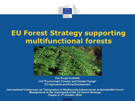 EU Forest Strategy supporting multifunctional forests Dan Burgar Kuželički Unit “Environment, Forestry and Climate Change” DG Agriculture and Rural Development.