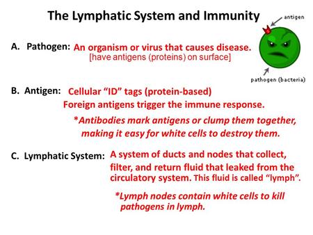 The Lymphatic System and Immunity A.Pathogen: B. Antigen: C. Lymphatic System: An organism or virus that causes disease. Foreign antigens trigger the immune.