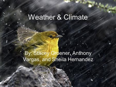 Weather & Climate By: Stacey Groener, Anthony Vargas, and Sheila Hernandez.