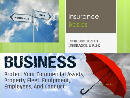 Insurance Basics Introduction to Insurance & Risk Chapter Two1.