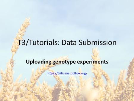 T3/Tutorials: Data Submission Uploading genotype experiments https://triticeaetoolbox.org/