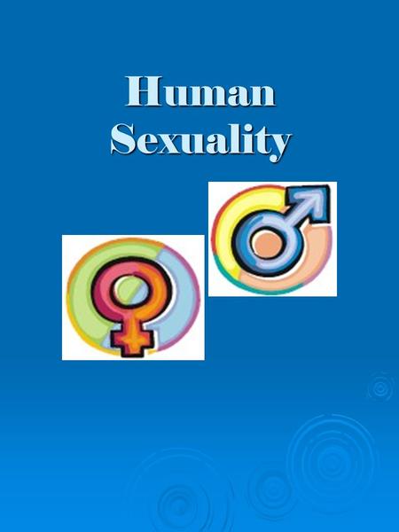 Human Sexuality. Rules for Questions  The right to pass  The right to individuality  The right to confidentiality  The right to be heard  No personal.