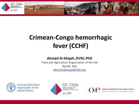 Crimean-Congo hemorrhagic fever (CCHF) Ahmad Al-Majali, DVM, PhD Food and Agriculture Organization of the UN Riyadh, KSA