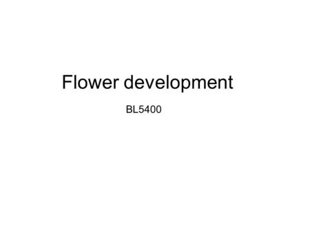Flower development BL5400. Steps of flower development Apical meristem Inflorescence meristem Flower meristem on which flowers develop.