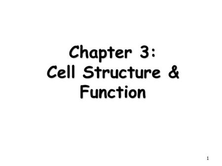 Chapter 3: Cell Structure & Function 1. 2 First to View Cells 1665: Robert Hooke used a microscope to examine a thin slice of cork (dead plant cell walls)