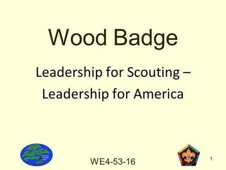 WE Wood Badge Leadership for Scouting – Leadership for America.