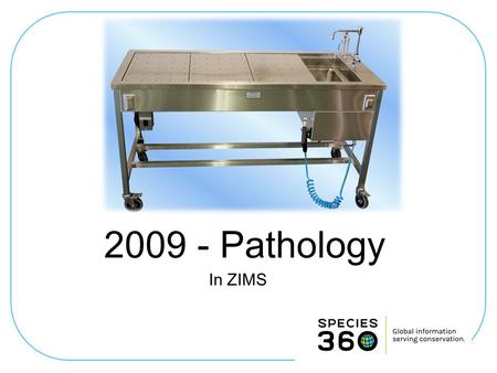 Pathology In ZIMS. Getting Started From the Medical Dashboard in ZIMS you can initiate a pathology record from the New menu dropdown or with the.