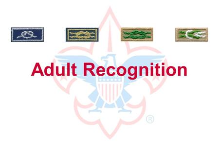 Adult Recognition Thanks to you, our boys... are more confident... are better citizens... learn life skills... have fun! without you, they would not.
