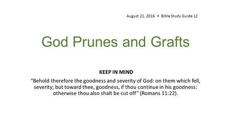 God Prunes and Grafts KEEP IN MIND “Behold therefore the goodness and severity of God: on them which fell, severity; but toward thee, goodness, if thou.