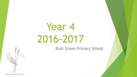 Year Rush Green Primary School. Our School and our Vision – (Mr Abeledo)  Successes  Plans for the future  Our 3 main priorities this year.