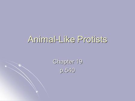 Animal-Like Protists Chapter 19 p Phyla of Animal Like Protists Phylum Ciliophora Phylum Ciliophora Phylum Zoomastigina Phylum Zoomastigina Phylum.