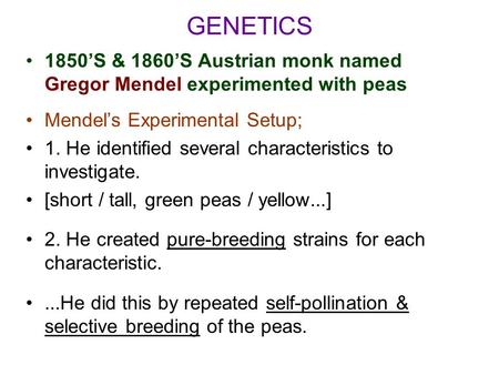 GENETICS 1850’S & 1860’S Austrian monk named Gregor Mendel experimented with peas Mendel’s Experimental Setup; 1. He identified several characteristics.