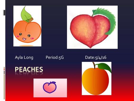 Ayla Long Period:5G Date:5/4/16. History of Peaches  Serving size : weight is 4.8 oz  Amount 51 calories per serving.