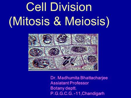 Cell Division (Mitosis & Meiosis) Dr. Madhumita Bhattacharjee Assiatant Professor Botany deptt. P.G.G.C.G. -11,Chandigarh.