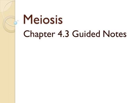 Meiosis Chapter 4.3 Guided Notes. Let’s review…. Mitosis produces two genetically identical daughter cells. In sexual reproduction, offspring inherit.