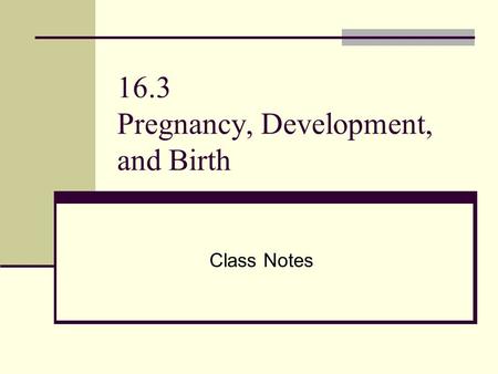 16.3 Pregnancy, Development, and Birth Class Notes.