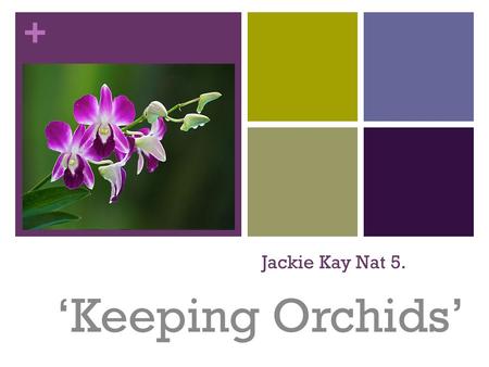 + Jackie Kay Nat 5. ‘Keeping Orchids’. + Learning Intentions Work as a group in order to understand the main ideas of the poem. Analyse the important.