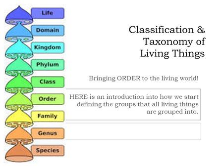 Classification & Taxonomy of Living Things Bringing ORDER to the living world! HERE is an introduction into how we start defining the groups that all living.