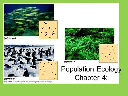 Population Ecology Chapter 4:. Main Idea: Human population growth changes over time. Section 1 Characteristics of Populations Population Limiting Factors.