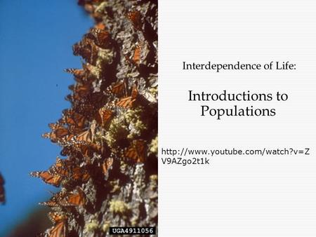 Interdependence of Life: Introductions to Populations  V9AZgo2t1k.