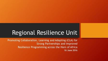 Regional Resilience Unit Promoting Collaboration, Learning and Adapting (CLA) for Strong Partnerships and improved Resilience Programming across the Horn.