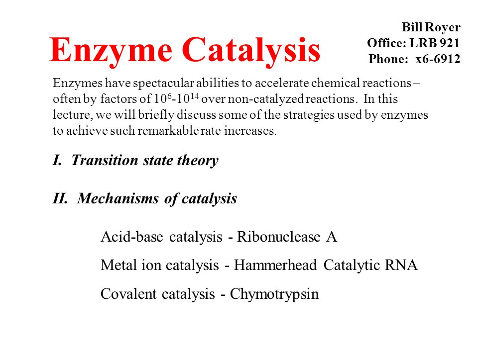 Catalysis Definition in Chemistry