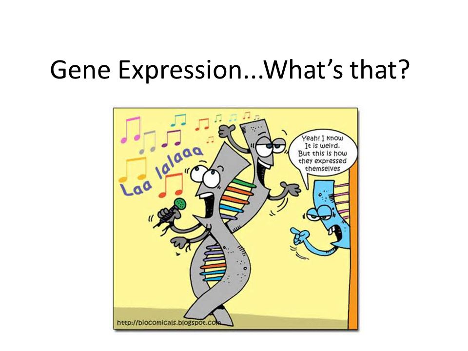Gene Expression...What's that? - ppt video online download