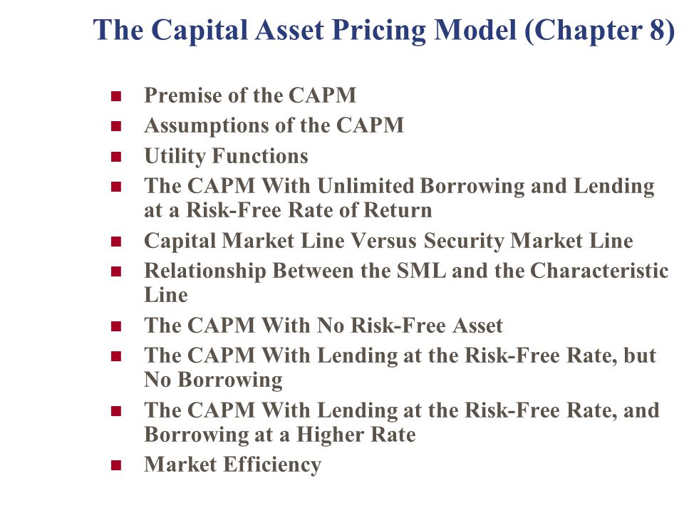 The Capital Asset Pricing Model (Chapter 8) - ppt video online download