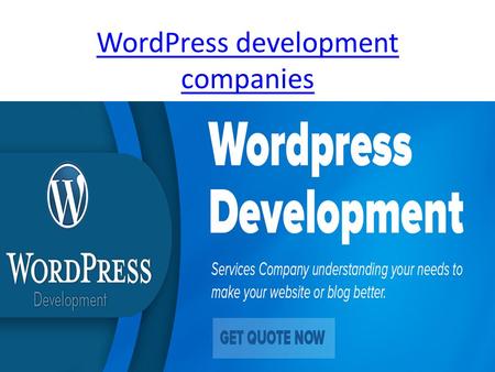 WordPress development companies. Wordpress custom theme design.