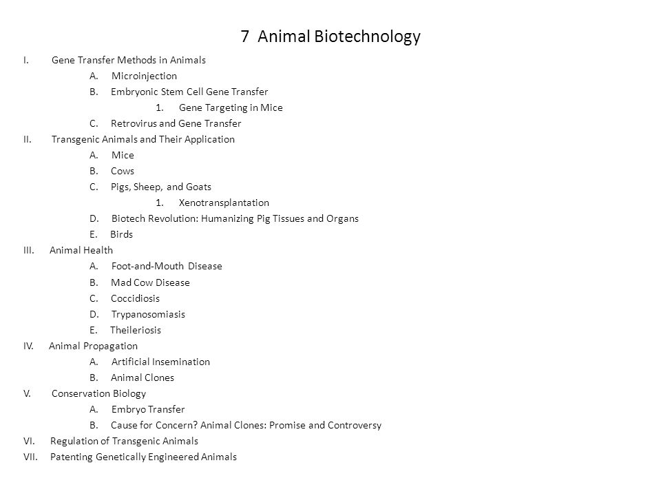 7 Animal Biotechnology I. Gene Transfer Methods in Animals - ppt video  online download