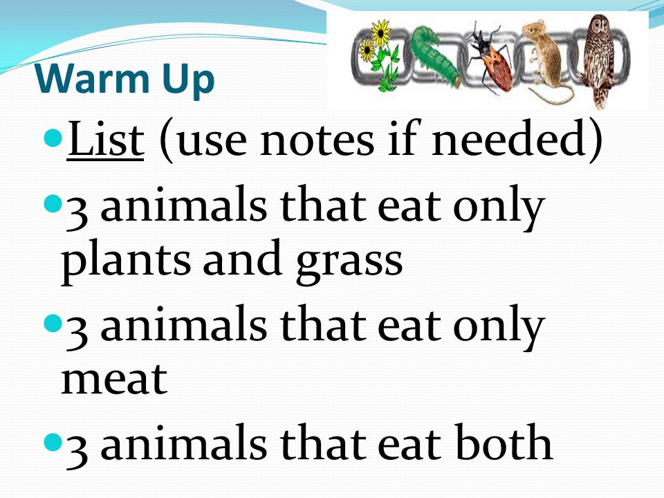 Warm Up List (use notes if needed) 3 animals that eat only plants and grass  3 animals that eat only meat 3 animals that eat both. - ppt download