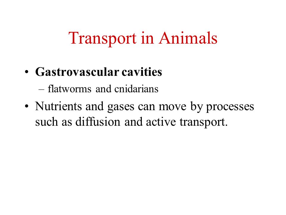 Transport in Animals Gastrovascular cavities –flatworms and cnidarians  Nutrients and gases can move by processes such as diffusion and active  transport. - ppt download